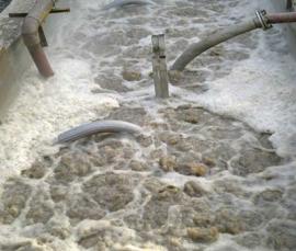 西安下店玉米開發(fā)實(shí)業(yè)有限公司